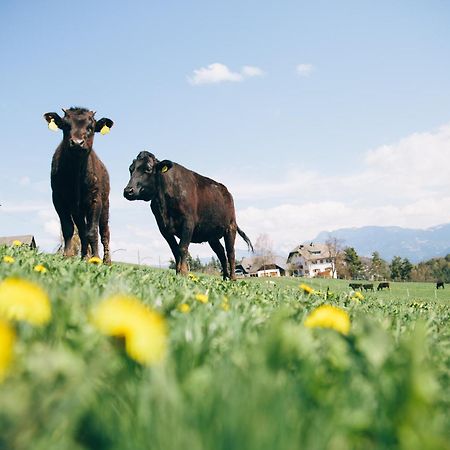 Alpin Farm Linde - Oberweidacherhof 콜라보 외부 사진