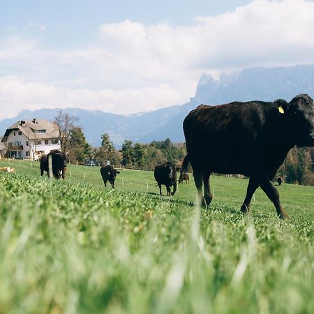 Alpin Farm Linde - Oberweidacherhof 콜라보 외부 사진